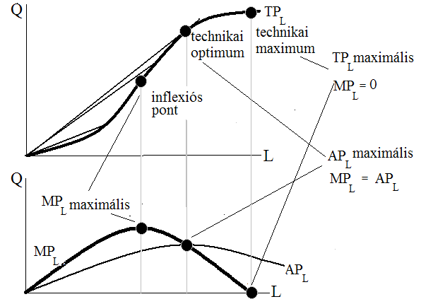 4.1.2 Technikai maximum és technikai optimum A fentiek alapján most már összefoglalhatjuk a rövid távú termelési függvény sajátosságait.