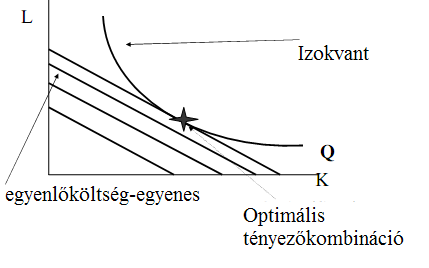 összefüggés a K,L koordinátarendszerben egy egyenest határoz meg, amelyet kis átalakítással a következı alakban is felírhatunk: L = TC/p L (p K /p L ) K.