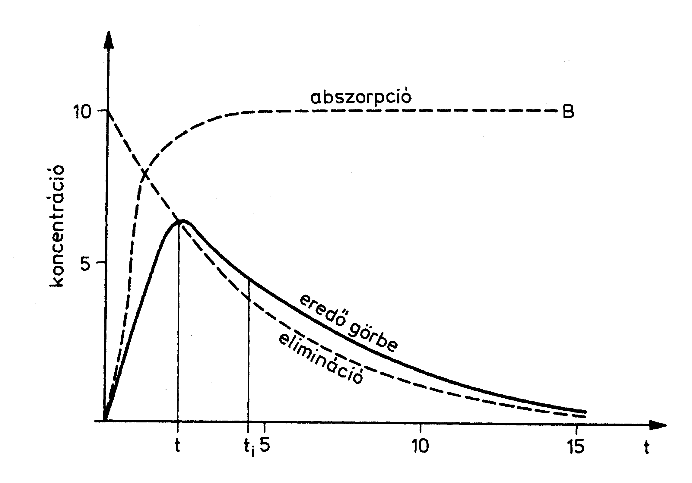 A koncentráció-idő görbe per os