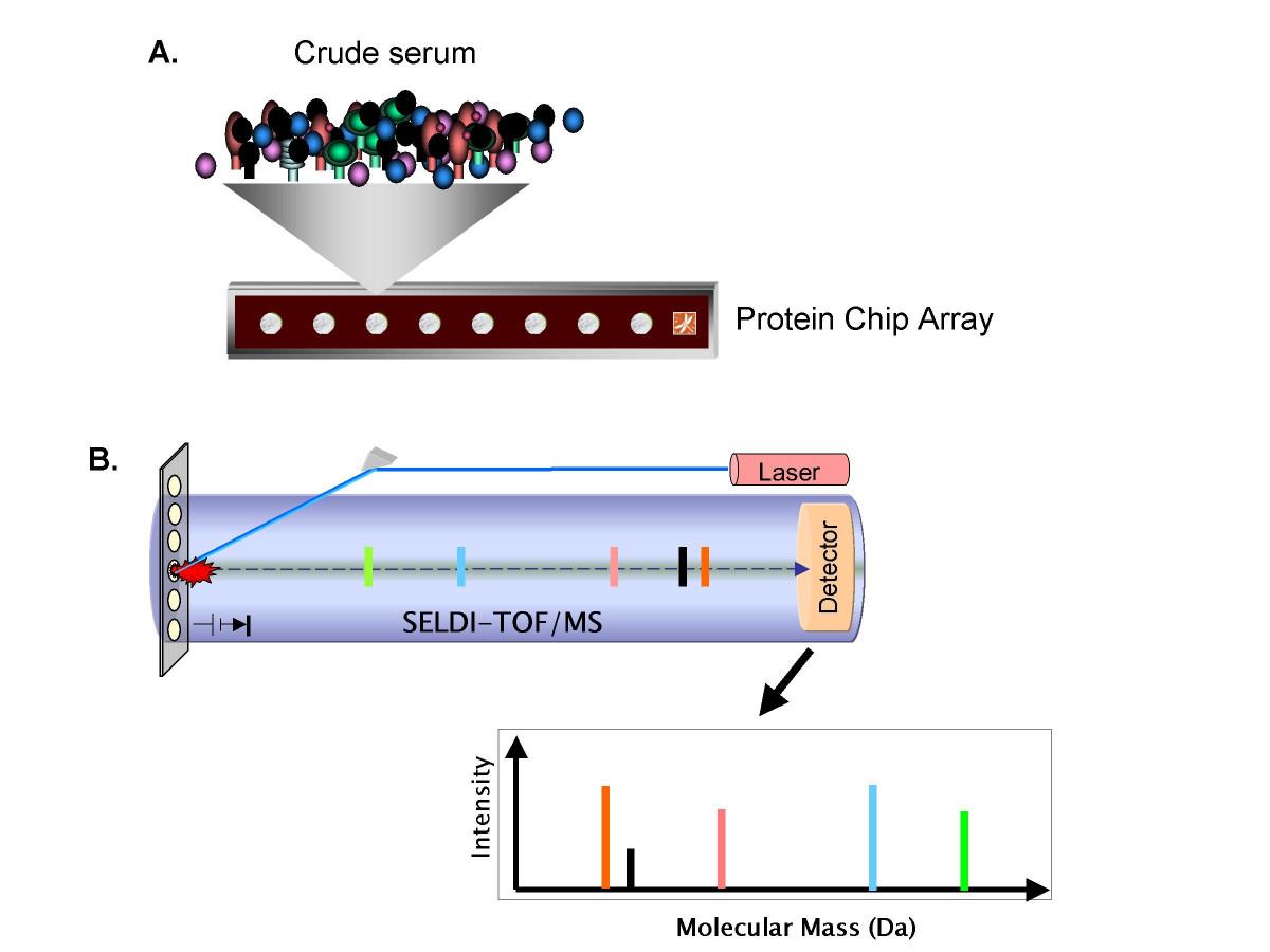 Proteinchip