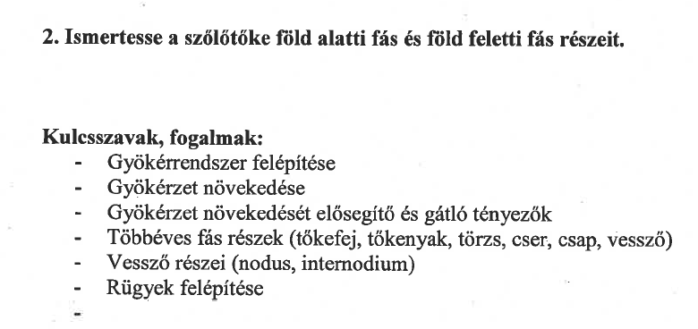 A szőlő gyökérrendszere A gyökérrendszer feladata a növény rögzítése, tápanyaggal és vízzel való ellátása. Eredetileg a szőlőnek (mivel kétszikû növény) főgyökérrendszere lenne (lásd.