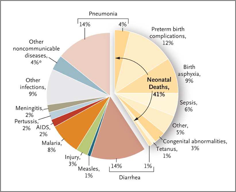 Causes of Childhood Deaths Worldwide in 2008.