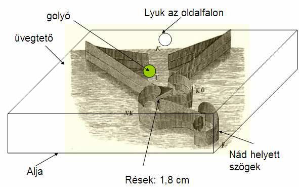 Játék készítése saját kez leg: 2-4 személyes (házilag, gyerekekkel együtt elkészítend ) változat: Kerítsünk egy nagyobb fa, vagy m anyag tálat, például alacsony falú gyümölcsös rekeszt.