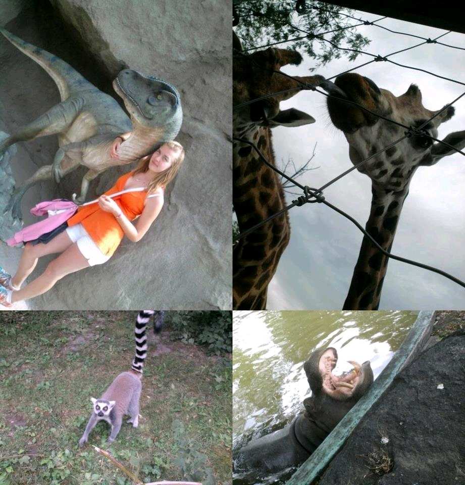 Gyere velem az állatkertbe! A fővárosba kirándultak a Dunaszentgyörgyi nagycsaládosok 2012.