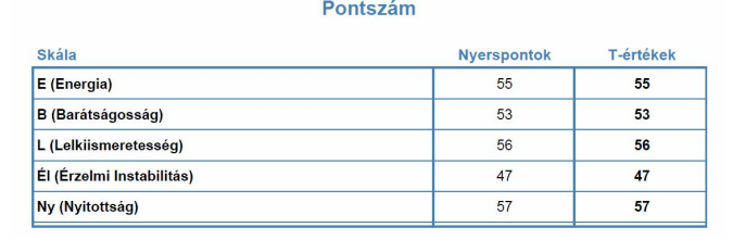 mérésére kidolgozott, 65 tételből álló kérdőív,