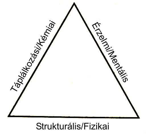 Goodheart hamar felismerte, hogy ezek a reflexpontok megegyeznek azokkal, amelyeket ő fedezett föl.