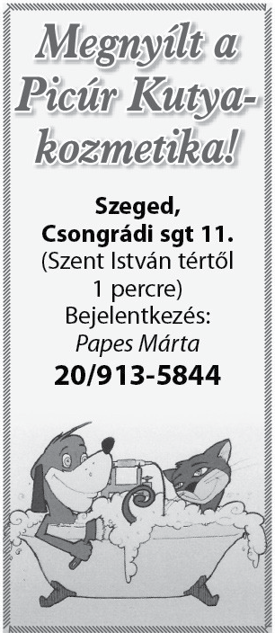 8 Olvasói levelek Köszönet Kedves dorozsmai lakosok, ezúton szeretnék köszönetet mondani (tisztelet a kivételnek, mert szerencsére van kivétel is) azért, hogy az Adél közben lévő, és tudomásom