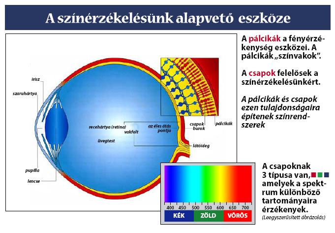 A szem Szem