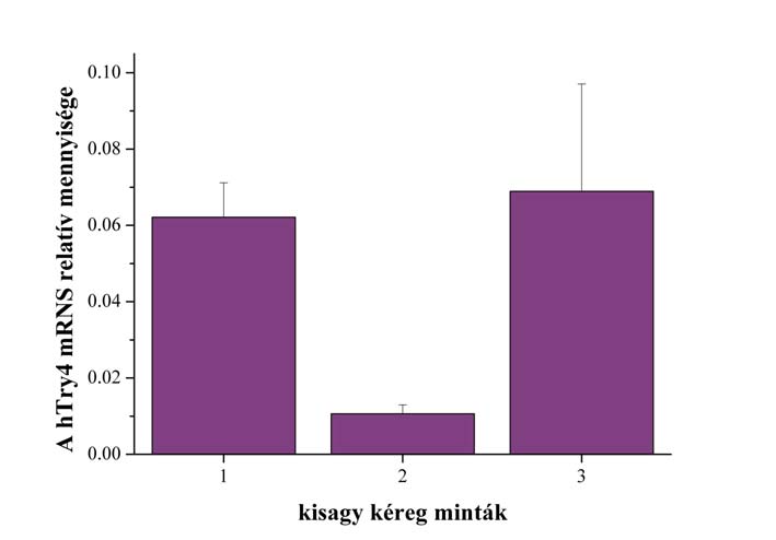 12. ábra A szintetizált cdns minták tárolhatósága, illetve a mérési módszer megbízhatósága egy példán bemutatva. A mérések ugyanabból az agymintából készített cdns-ről készültek. 1.