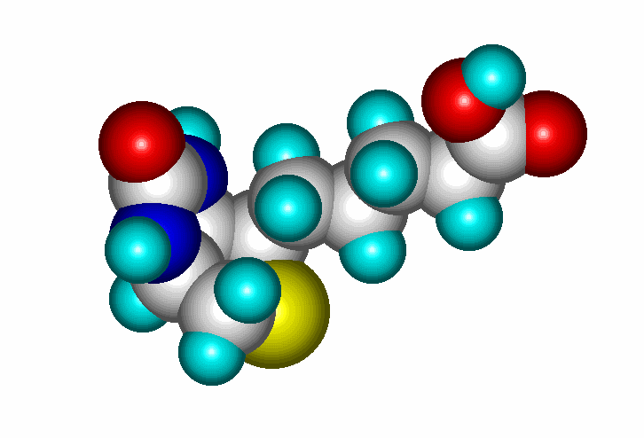 5.12. Ábra. A biotin térbeli szerkezete.