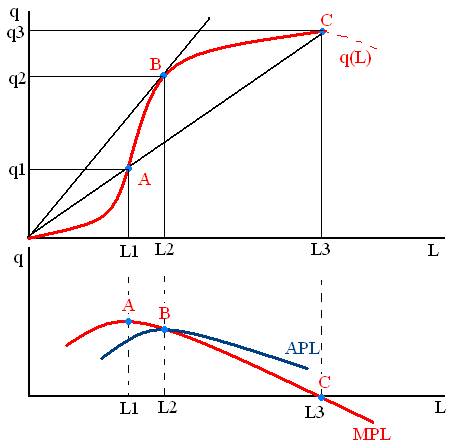 5. Termelési függvény (TP L = q (L)) q = termelés mennyisége L = munkafelhasználás (létszám vagy