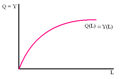 (L 1 ) Y 1 B pont c) P 2 W/P 2 L S L S < L D (munkaerő hiány) L S határozza meg a foglalkoztatottak számát (L