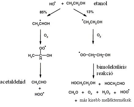 16. ábra Az aminosavak Strecker-degradációja (Thum et al., 1995) Az aldol-kondenzáció (17. ábra) eredményeként szintén aldehidek jönnek létre.