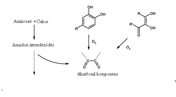 Ezen az úton jöhetnek létre az alacsony íz-küszöbértékű aldehidek azokból, a sörben egyébként benne levő, kevésbé íz-aktív aldehidekből, amelyek más reakcióutakon keletkeztek (Hashimoto és Kuroiwa,