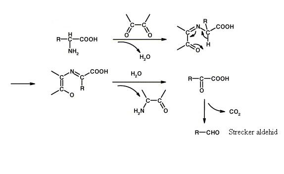 kiindulási konjugált rendszert (18. ábra) (Belitz et al., 2004).