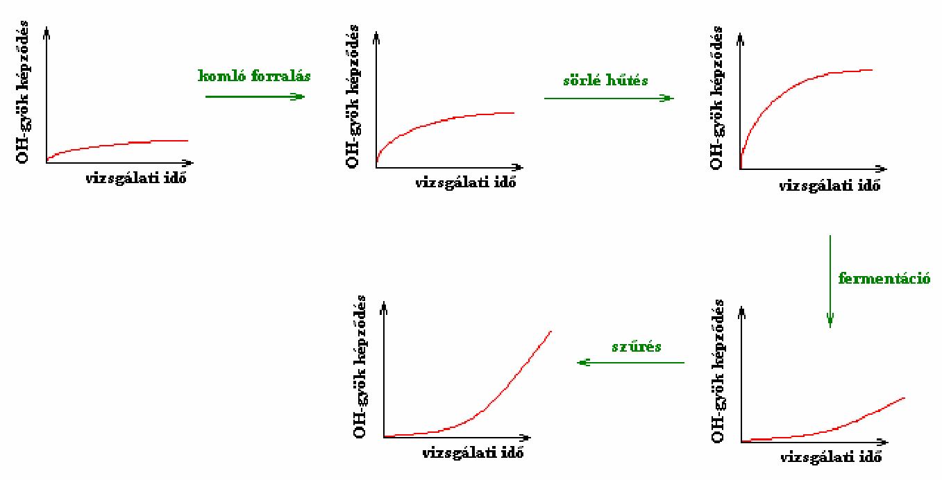 ez aszkorbát-oxidázban gazdag forrás). A kalibráció 0.18-1.8 mg/l között lineáris volt (Matos et al., 1998).