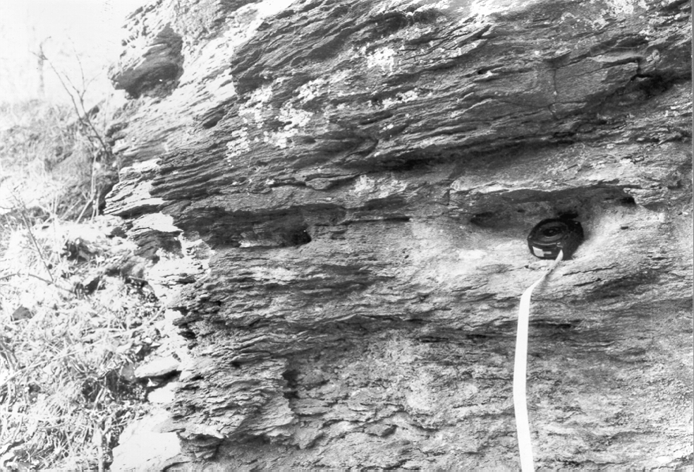 1 = uncovered part of a large size micro-terrace; 2 = filled-up part of a large size micro-terrace; 3 = micro-terrace of medium size; 4 = corridor; 5 = fault; 6 = top of a hat; 7 = collapsed cave 4.