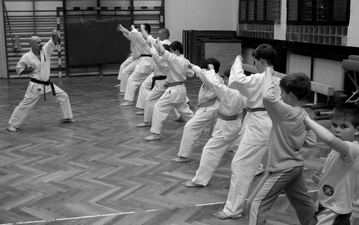 Kyokushine karate Várják az érdeklõdõket, számítanak a támogatásra Egészséges életvitelünk egyik legfontosabb követelménye a rendszeres testmozgás, a rendszeres sport, amit ismerjük el, bizony