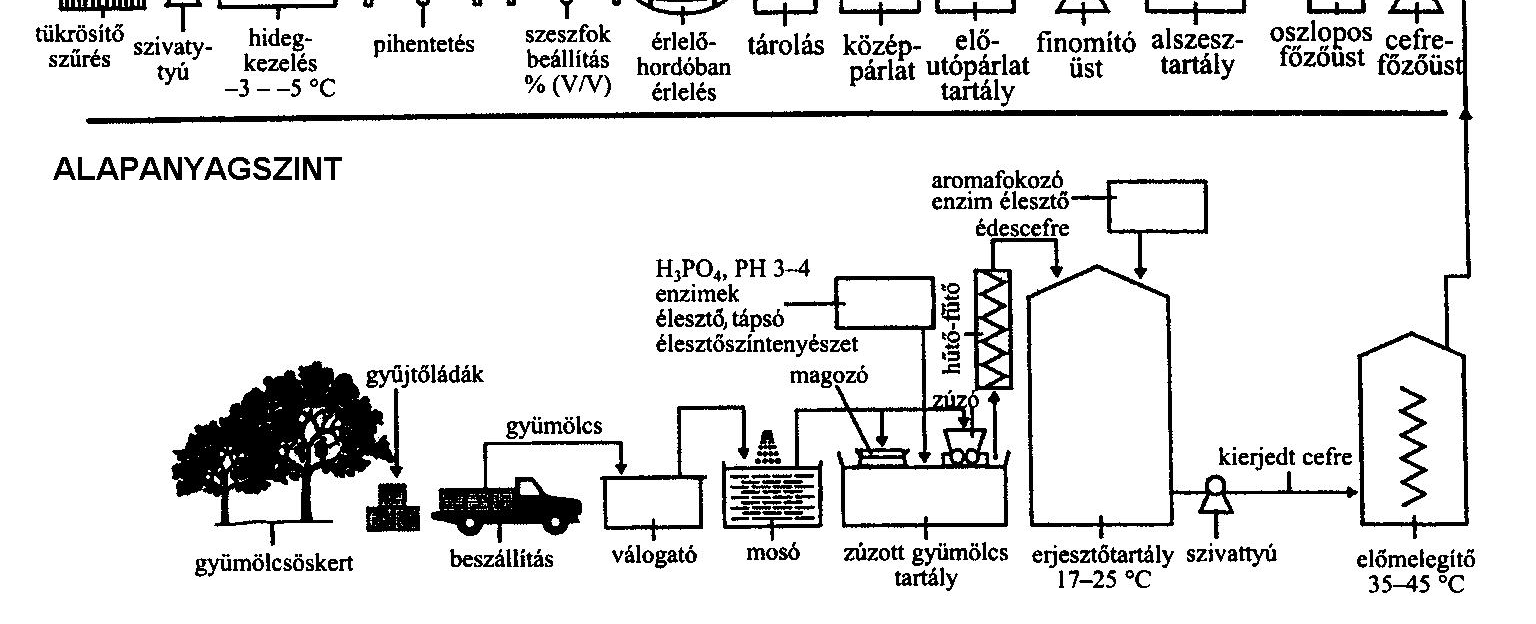 A termékek csoportosítására több lehetıség kínálkozik.