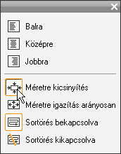 Bal oldalt három betűstílusgomb található, amelyek sorrendben a félkövér, a dőltbetűs és az aláhúzott stílust aktiválják.