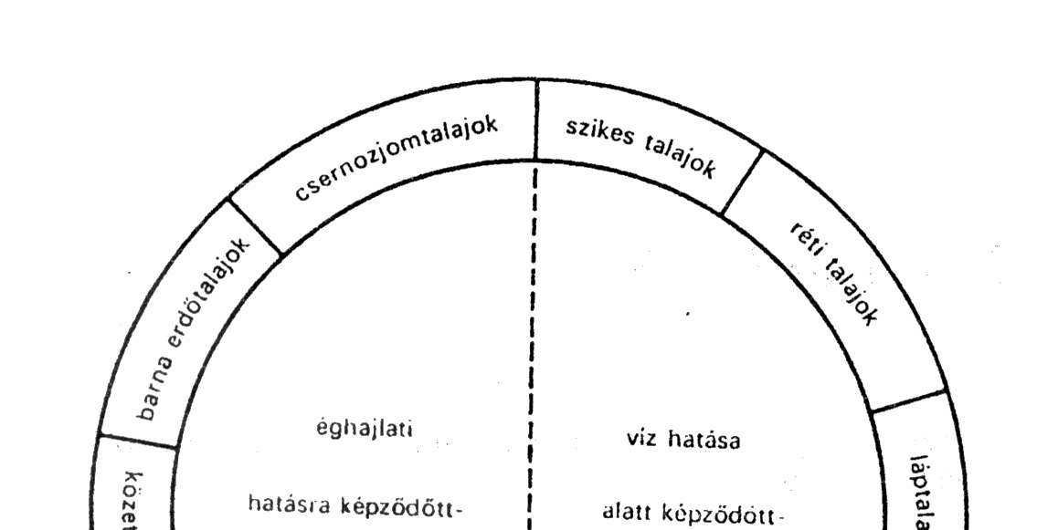 Talajok csoportosítása I. VÁZTALAJOK A váztalajok főtípusába azok a talajok tartoznak, amelyek képződésében a biológiai folyamatok hatása korlátozott.