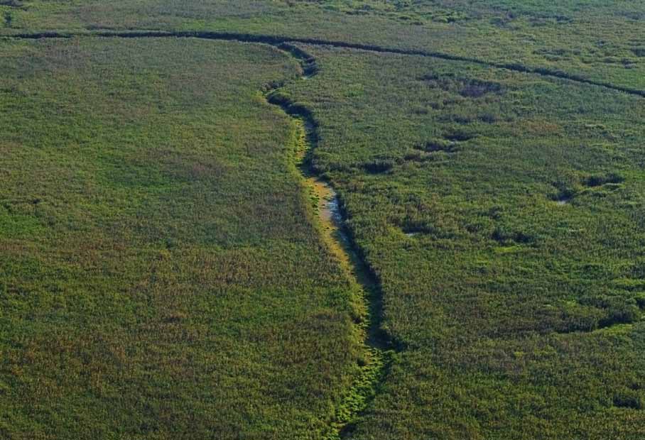 Duna-delta Duna-delta Nemzeti Kutatási és Fejlesztési Intézet - Tulcea (Románia) Duna-delta Bioszféra Rezervátum Természetkezelősége Tulcea