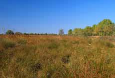 applied research focused on underpinning management of the Danube Delta Biosphere Reserve and other wetlands of national and international