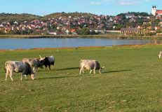 The Balaton Uplands National Park (57 thousand acres) was established in 1997 when the need to protect this natural environment was acknowledged.