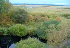 The overall goal of regional development to improve quality of life while restore ring natural values and increasing competitive features of the Lake Balaton Region without impairing the