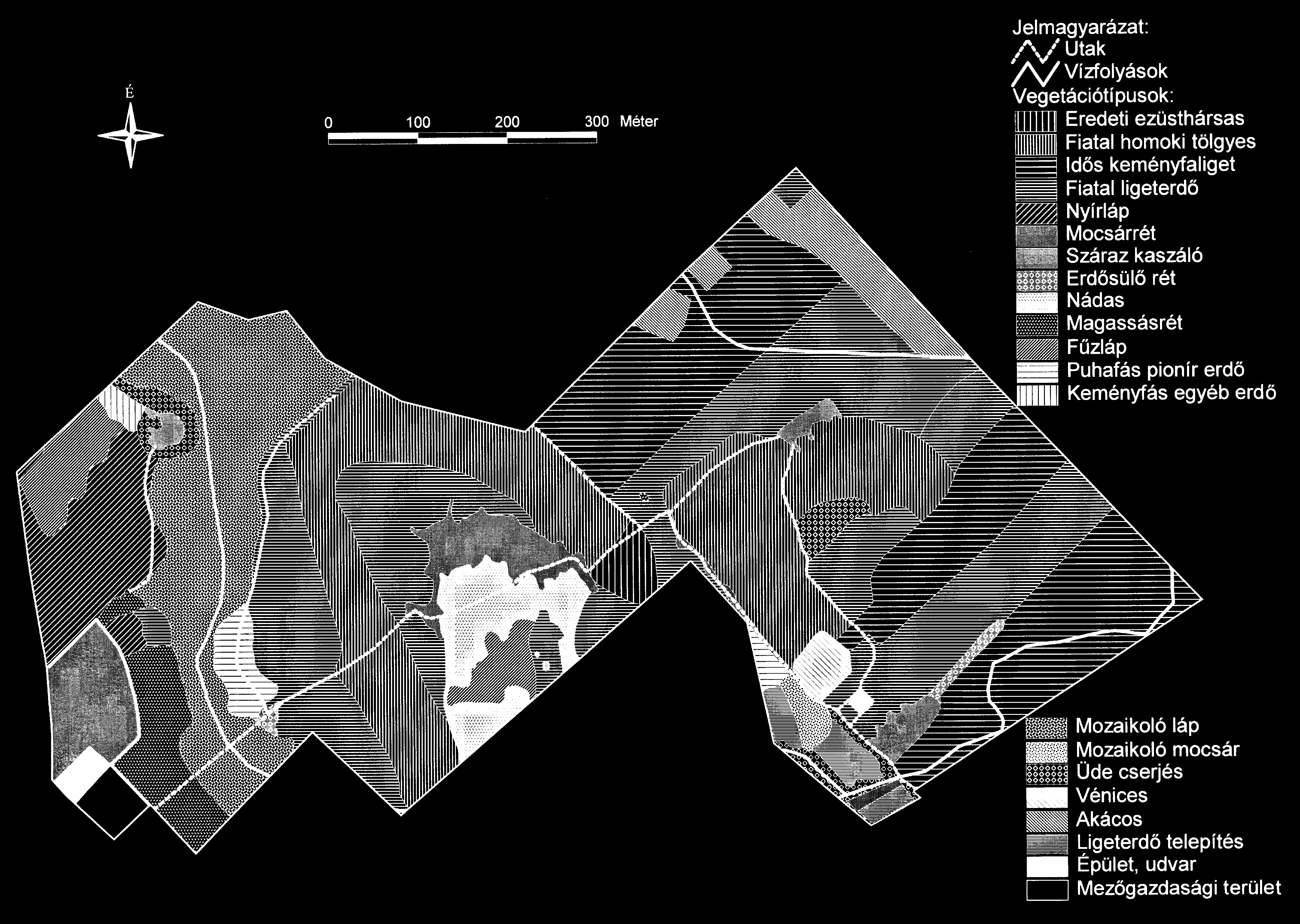 116 2. térkép A Bátorligeti Õsláp TT vegetációtérképe 2004-ben Map 2.