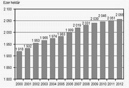 Az erdő transpirációja és asszimilációja a többi vegetációformánál magasabb levélfelületi indexének köszönhetően - erős, ami környezetére hűtő hatást fejt ki.