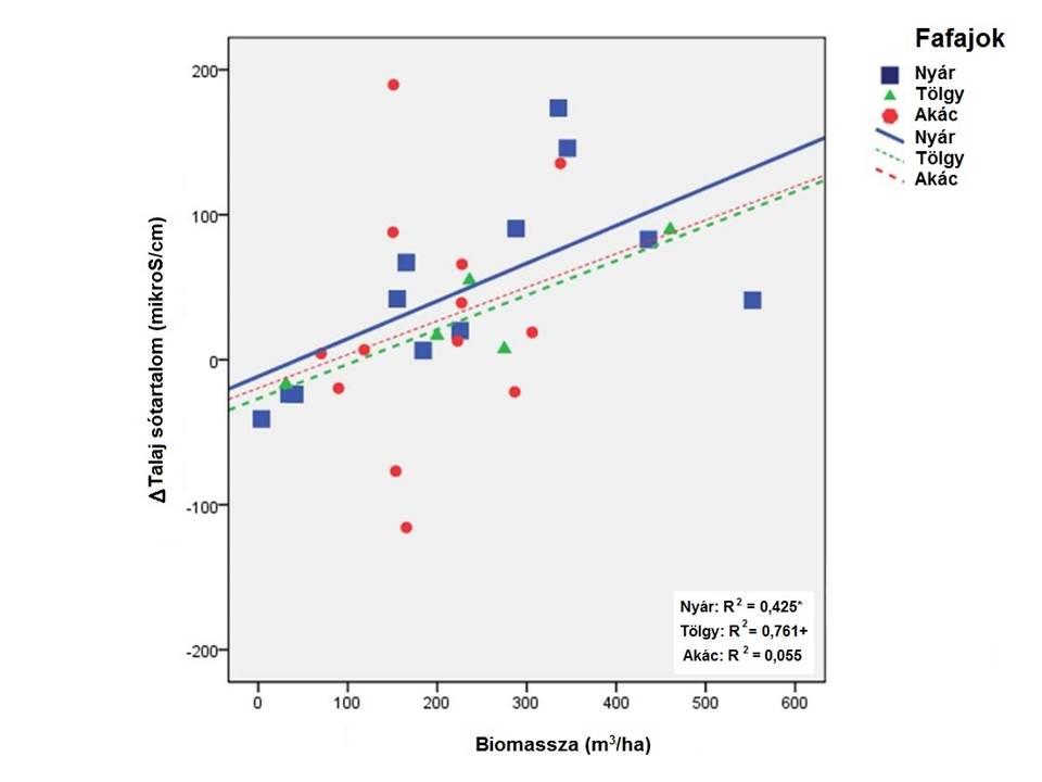 A három vizsgált fafajt külön-külön elemezve, az erdő és a kontroll vegetáció átlagos talajsótartalmában megmutatkozó különbségek a felszíntől a talajvíz szintig a teljes profil mentén nyár > tölgy >