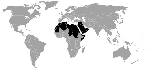 előre nem várt, döbbenetes eseményeket hozott. Az arab világ tömegtüntetései megbuktattak több, már évtizedek óta hatalmon lévő vezetőt.