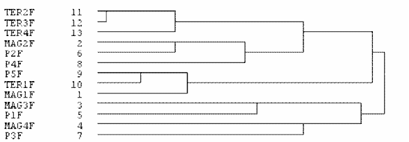 Iskolakultúra 2004/11 Frei Lászlóné: Az általános iskolai geometriatudás és a rajzkészség fejlõdése A 3. feladatban elért átlagteljesítmények önmagukért beszélnek.