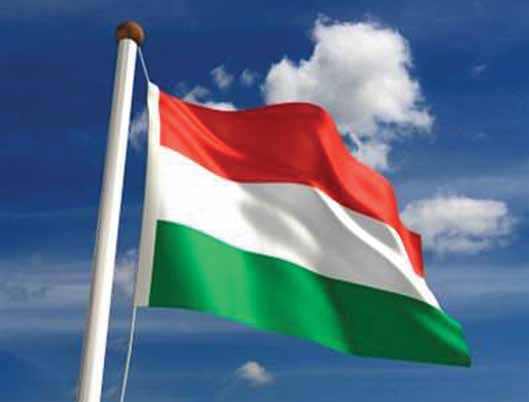 9. Politikai attitűdök Magyar identitás A fiatalok több mint fele egyértelműen pozitív érzelmekkel viseltet Magyarország iránt, hiszen százalék érzi a magyarok nagy családjához tartozónak magát, 7