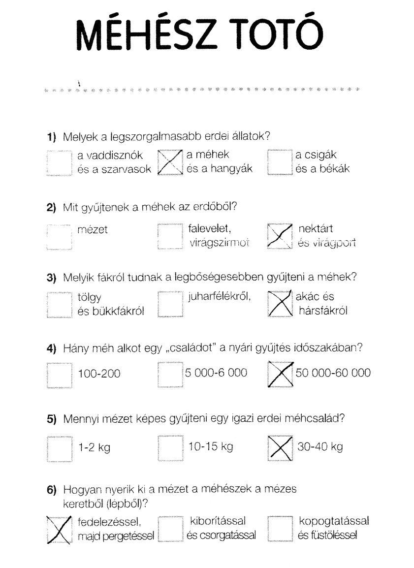 A méhészet után az erdészeti bemutató terem következett, ahol Szilvi