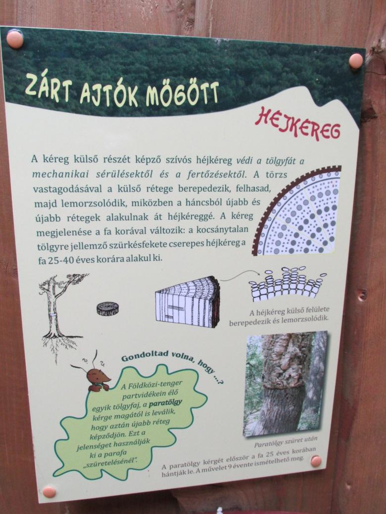 és meghallgattuk az állatokról szóló kiselőadásokat.