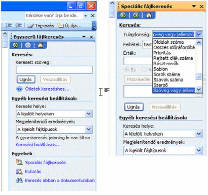 Ha az egyebeknél lévő speciális fájlkeresésre kattintunk, akkor további tulajdonságok
