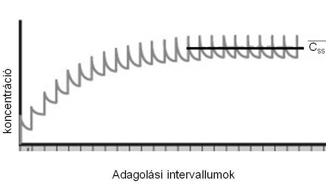 Mivel a farmakoterápiában általában többszöri gyógyszerbevitelre van szükség fontos a megfelelő dózisok megválasztása és az adagok közötti időtartamok meghatározása.
