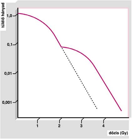 Rlatív biológia hatékonyság (RBE) RBE D R / D X A 25 kv nrgiájú röntgnsugárzás dózisa (D R ) osztva a