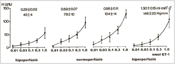 érellenállás változások adatai (Rmax: +59, 16%) is megerősítették, hogy a hypoperfundált vasculatura is jelentős mértékben megőrzi ET-1 válaszkészségét (5. ábra)