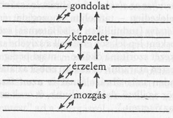 csökken a vércukorszint, a vérnyomás, gyorsul vagy lassúbbodik a pulzus, a lélegzés, több vagy kevesebb vizeletet választ ki a vese, verejtéket a verejtékmirigyek; abortív elektromos impulzusok,