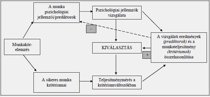 KATASZTRÓFAVÉDELEM 5. sz. ábra: A kiválasztás folyamata. Forrás: [23] A kiválasztás alapfeltevése, hogy az emberek között individuális különbségek vannak, amiket mérni lehet.