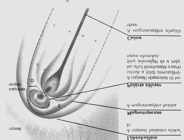 A Jupiter például a napközeli állásaikor rendszeresen eltérít bolygóközi törmeléket, elsősorban a megsemmisült 5. Bolygónak a jelenleg kisbolygó övezetet képező maradványaiból.