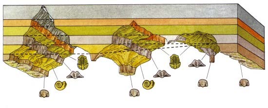 Ha a tagolás és besorolás a kőzettestek ásvány-kőzettani és geokémiai jellegei alapján történik, litosztratigráfiai osztályozásról van szó. A litosztratigráfiai osztályozás alapegysége a formáció.