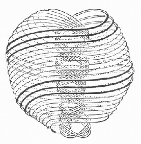 Tömegvonzás: Az időhullámok hatásának egyik megnyilvánulási formája; az a jelenség, hogy a részecskék gravitációs (idő-) hullámai a tömegtelen hullámforrásokat, a jelenpontokat egymás felé taszítják.