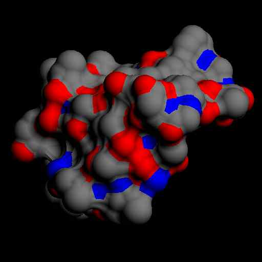 Standard program: Molecular Surface Package (Connolly) (nem