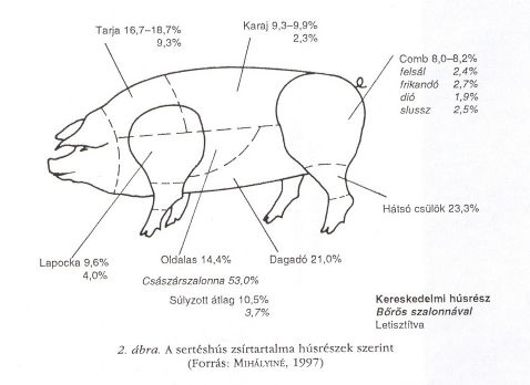 Részletes takarmányozástan gyakorlat Hízósertés takarmányozása A SERTÉS S HÍZLAL ZLALÁSA Vágási végt v gtömeg - húsminőség: Izomrostok mennyisége Hús s színe (myoglobin( myoglobin) Lédúss ssága