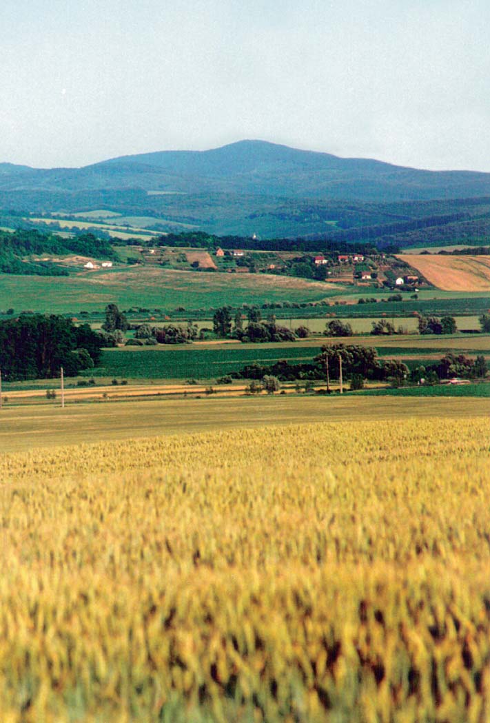 Baranya patak völgye, háttérben a