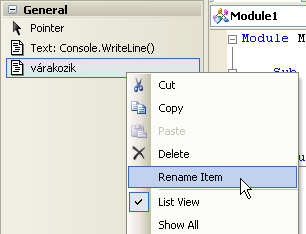 Kódrészlet átnevezése az eszközkészletben A forráskód szerkesztése A forráskód begépelését megkönnyítő intelligens súgót a Windows-alkalmazás készítése fejezetben már bemutattuk.